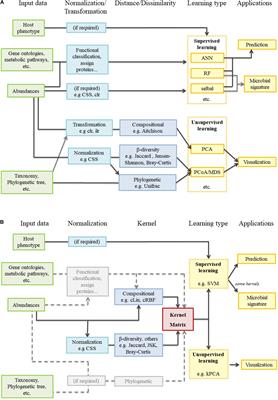 kernInt: A Kernel Framework for Integrating Supervised and Unsupervised Analyses in Spatio-Temporal Metagenomic Datasets